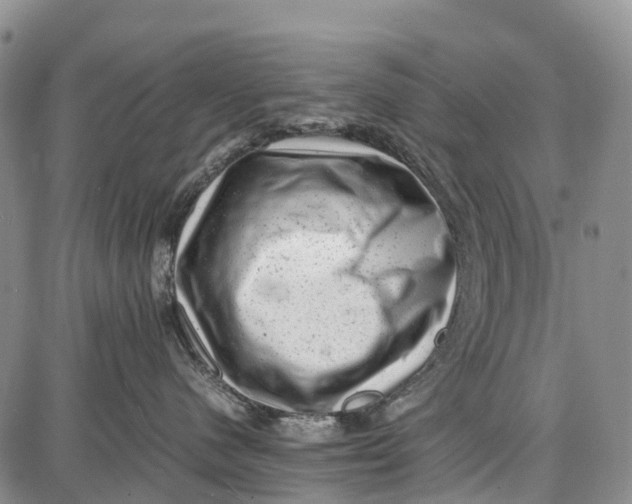 X0000087050480200705091140