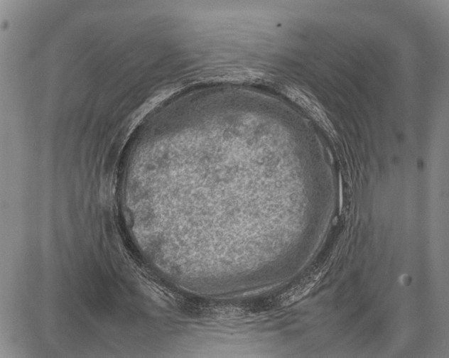 X0000087050483200705091139