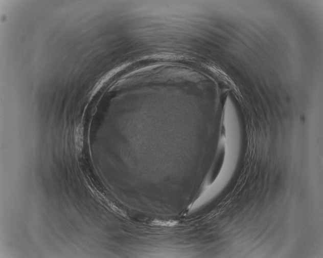 X0000087050484200705091139