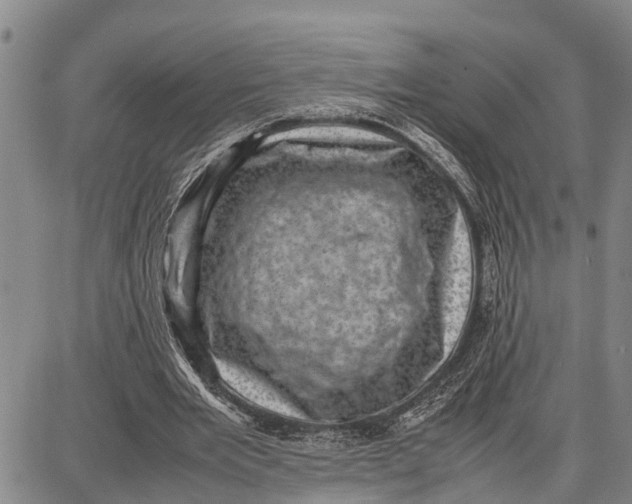 X0000087050485200705091139