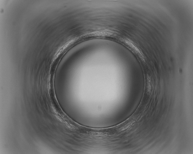 X0000087050486200705091139