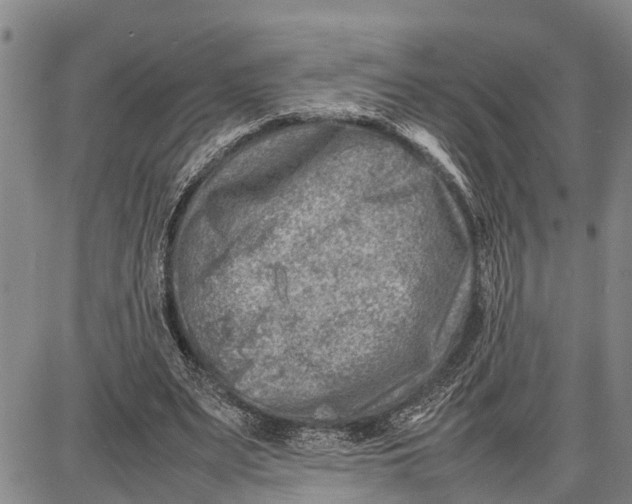 X0000087050487200705091139