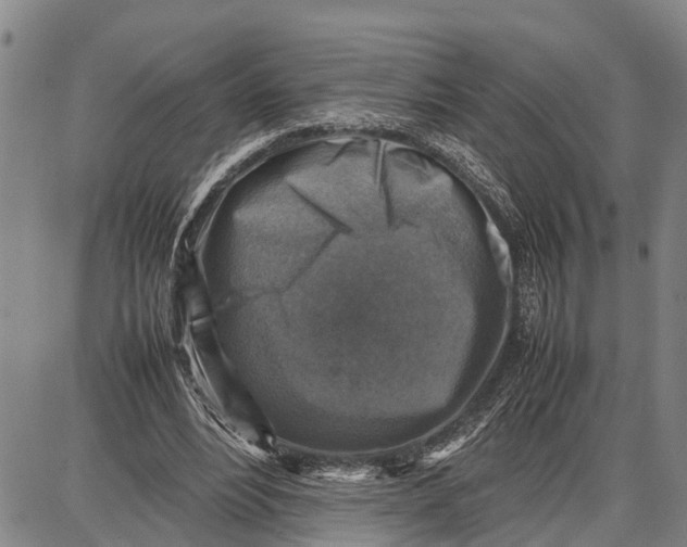 X0000087050488200705091139