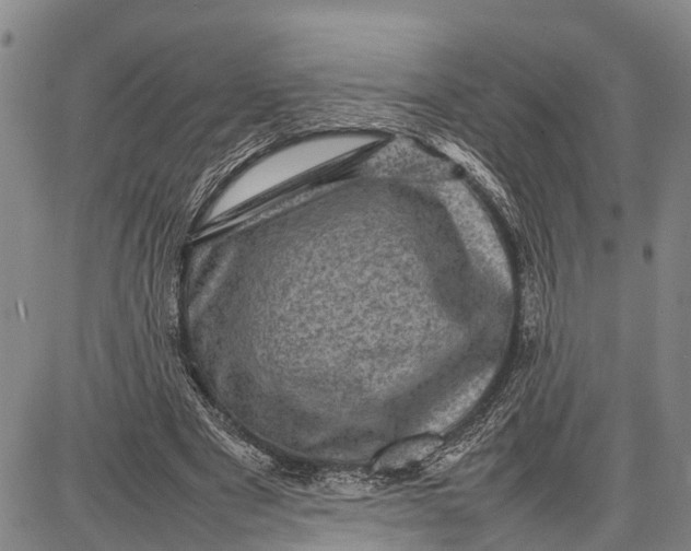 X0000087050489200705091139