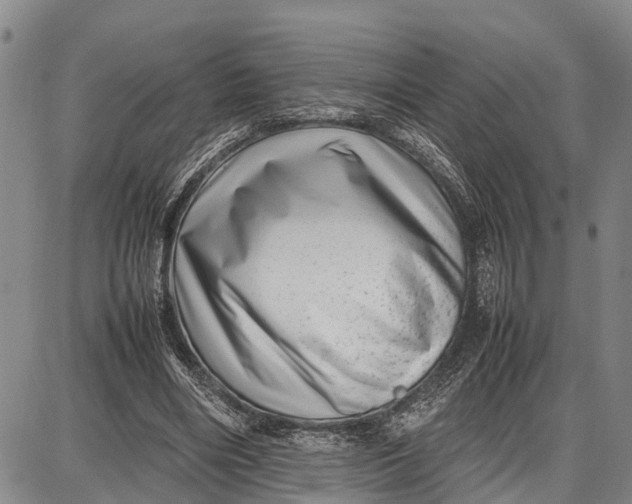 X0000087050490200705091139