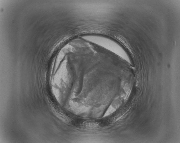 X0000087050491200705091139