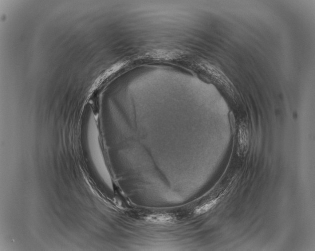 X0000087050492200705091139