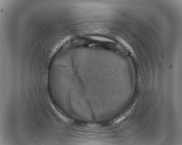 X0000087050493200705091139