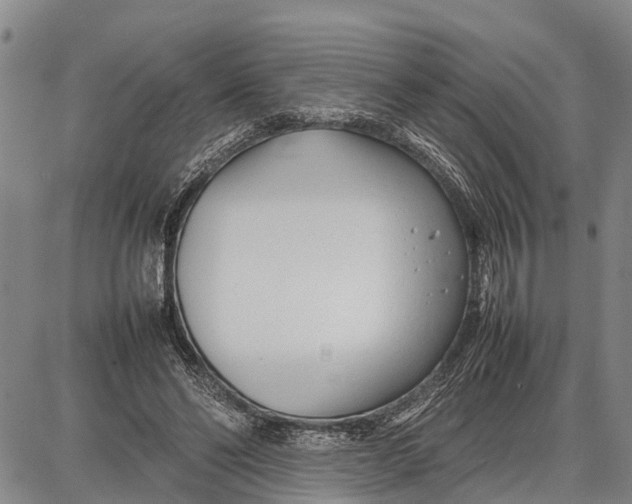 X0000087050494200705091139