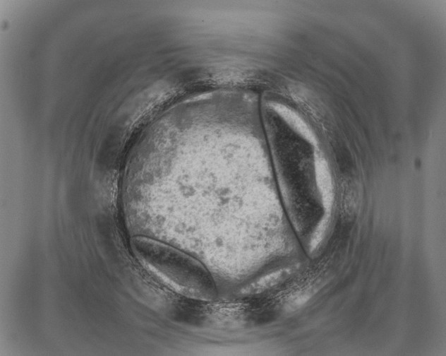 X0000087050495200705091139