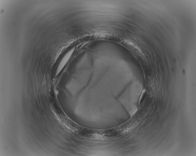 X0000087050496200705091139