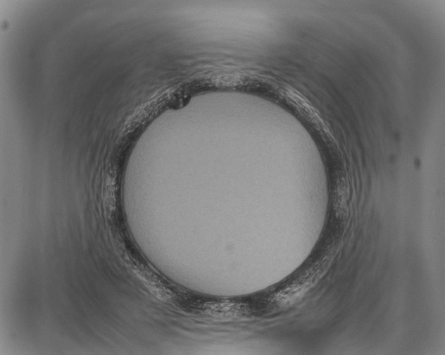 X0000087050497200705091139