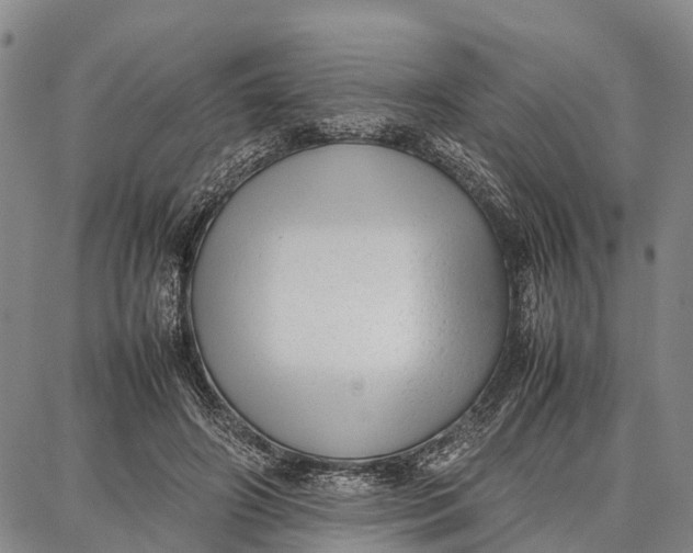 X0000087050498200705091139