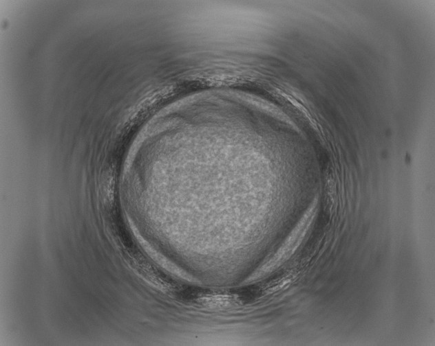 X0000087050499200705091139