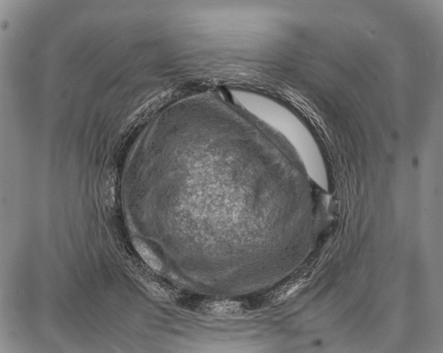 X0000087050501200705091139