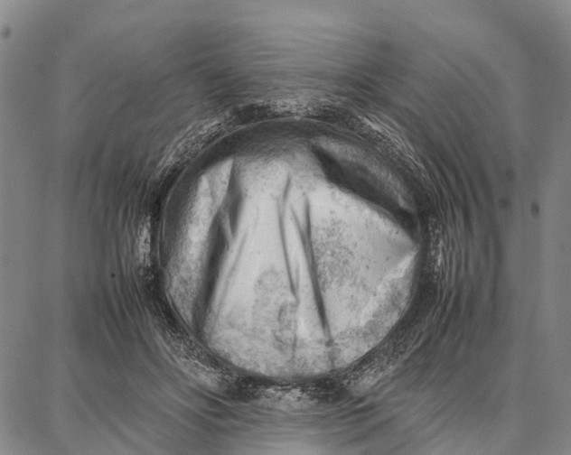 X0000087050502200705091139