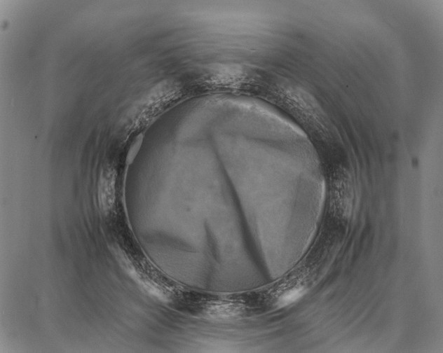 X0000087050504200705091139