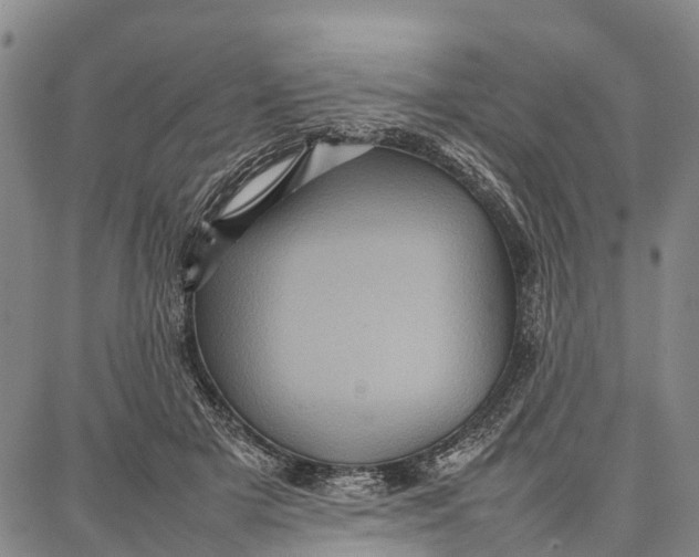 X0000087050505200705091139