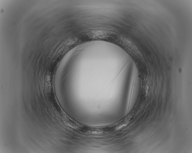 X0000087050506200705091139