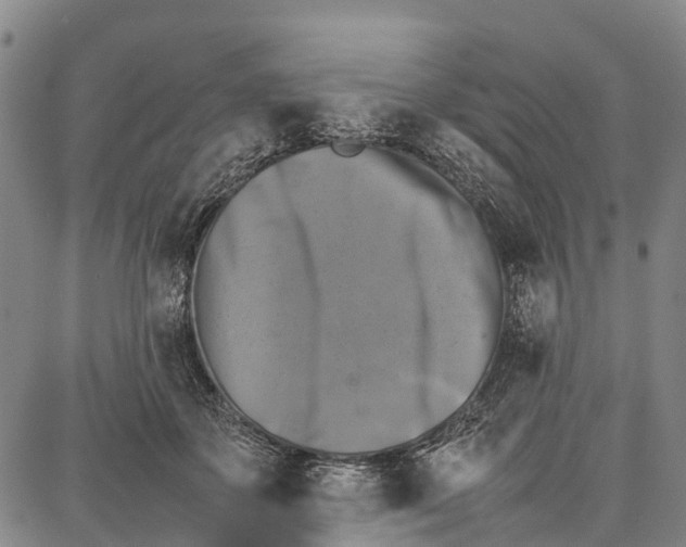 X0000087050507200705091139