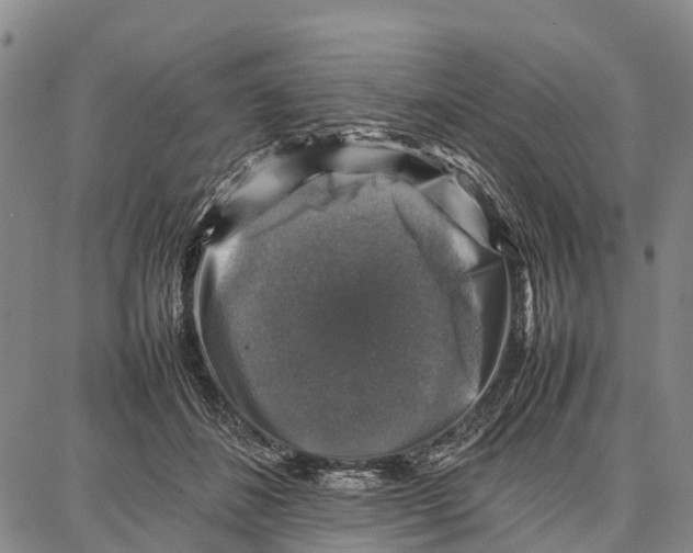 X0000087050508200705091139