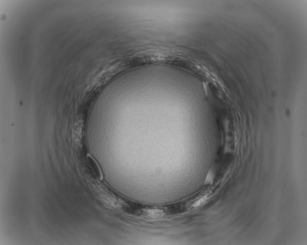 X0000087050509200705091139