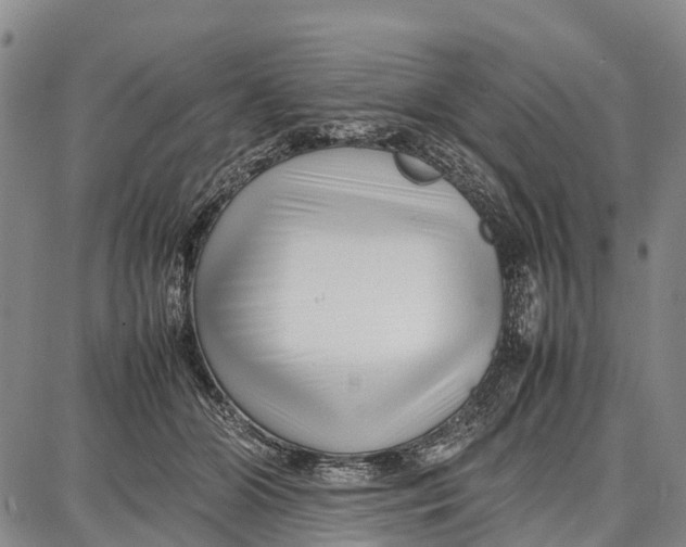 X0000087050510200705091139