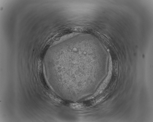 X0000087050511200705091139