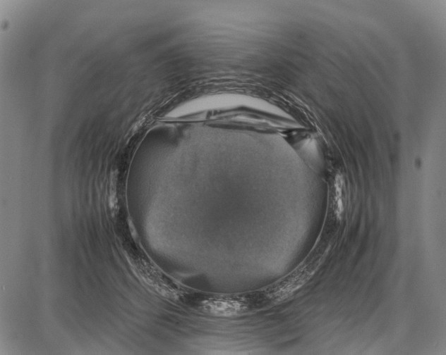 X0000087050512200705091139