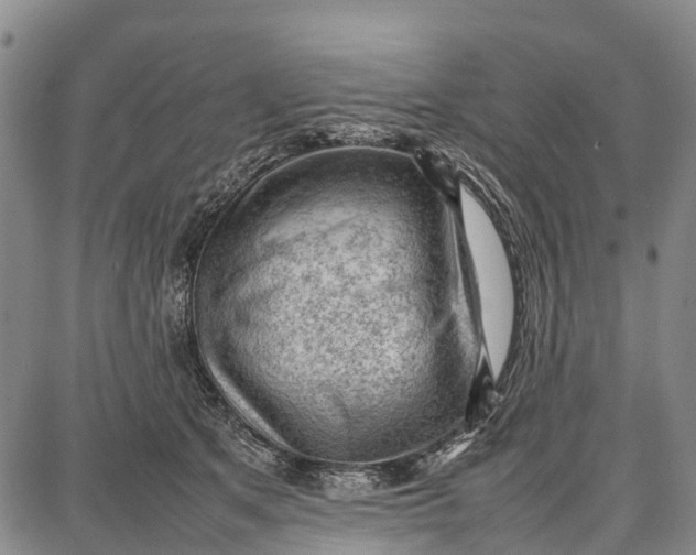 X0000087050513200705091139