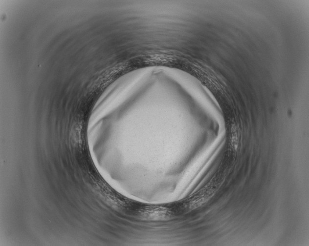 X0000087050514200705091139