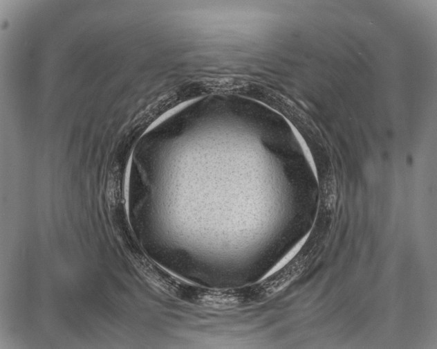 X0000087050515200705091139