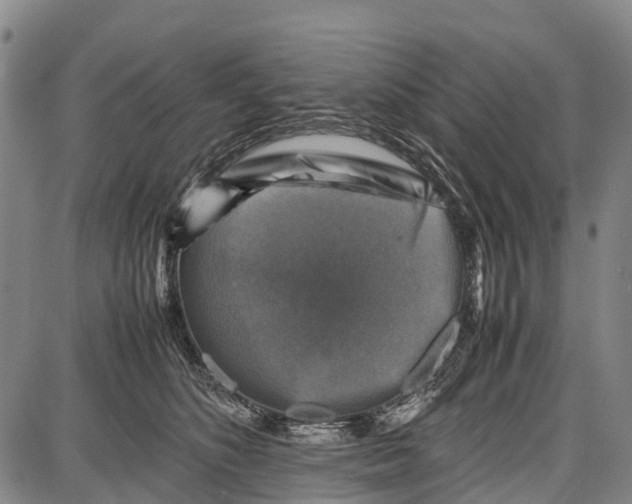 X0000087050516200705091139