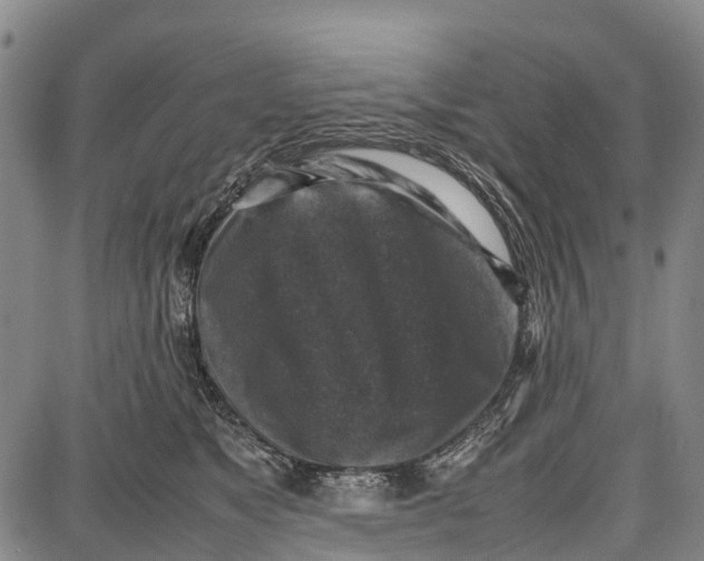 X0000087050517200705091139