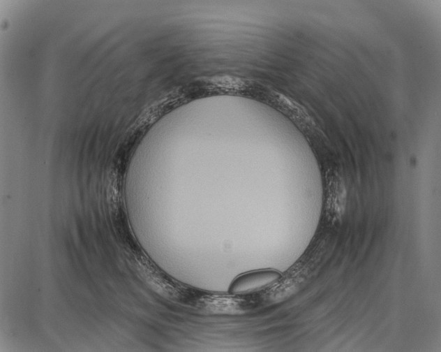 X0000087050518200705091139