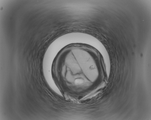 X0000087050519200705091139