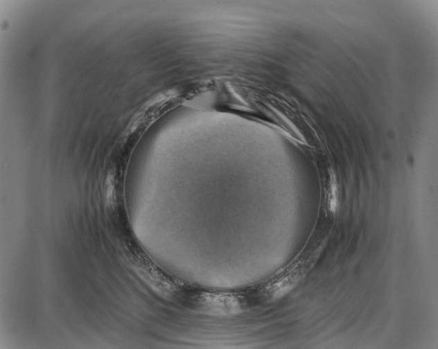 X0000087050520200705091139