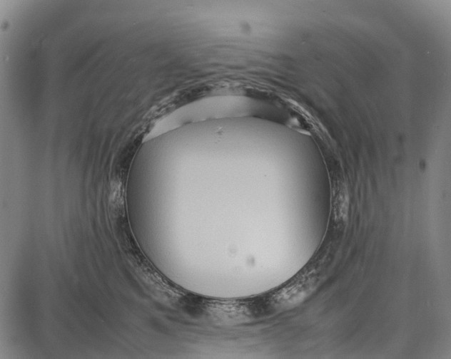 X0000087050521200705091139