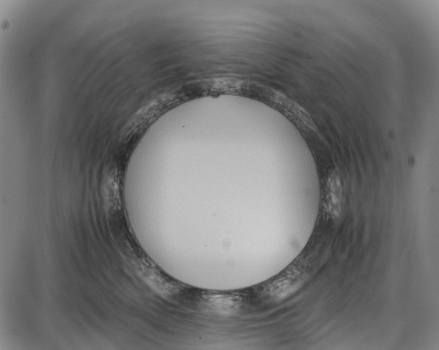 X0000087050522200705091139