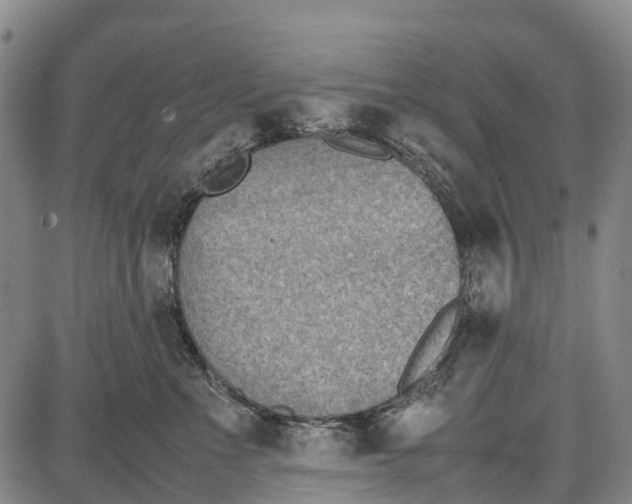 X0000087050523200705091139