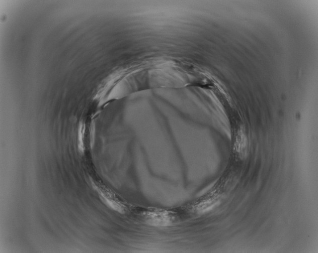 X0000087050524200705091139