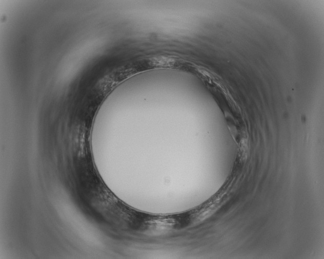 X0000087050525200705091139