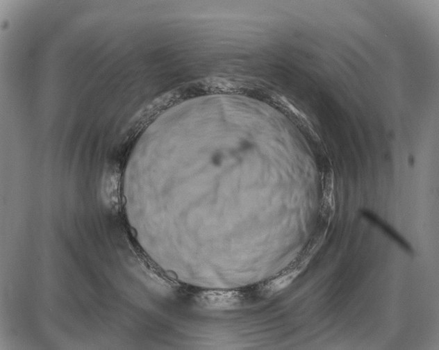 X0000087050526200705091139