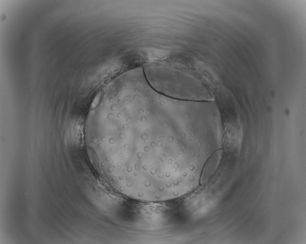 X0000087050527200705091139