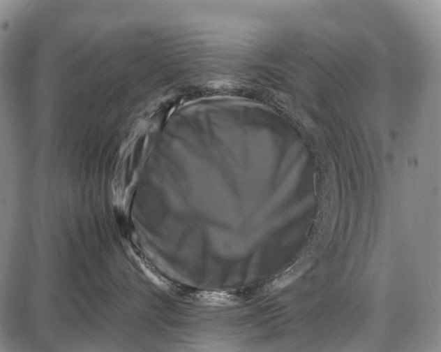 X0000087050528200705091139