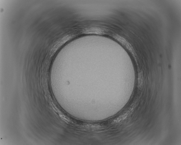 X0000087050529200705091138