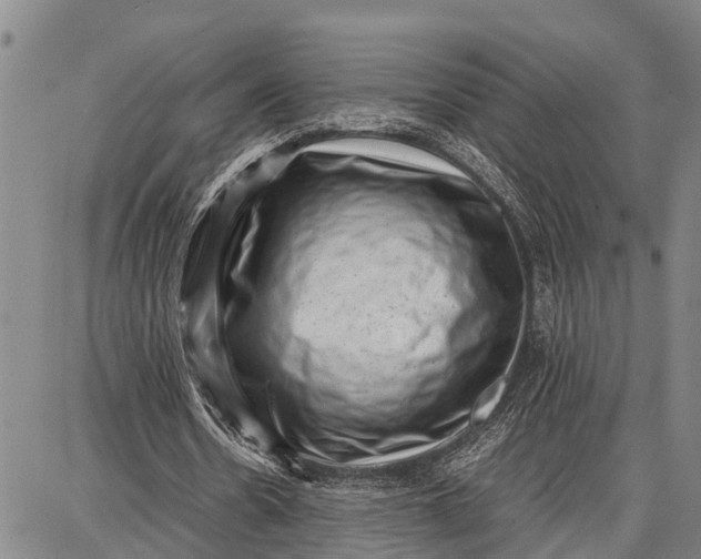 X0000087050530200705091138