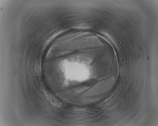 X0000087050531200705091138