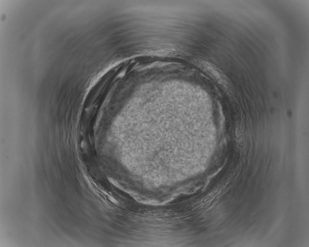 X0000087050532200705091138