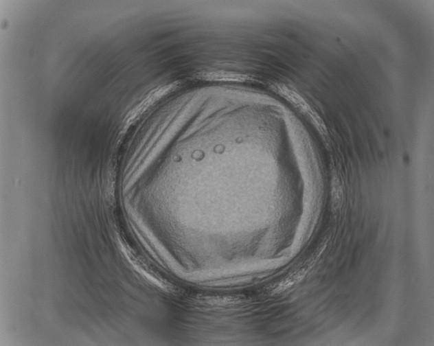 X0000087050533200705091138